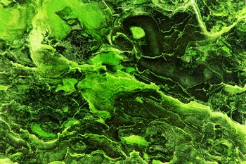 AP 35B1